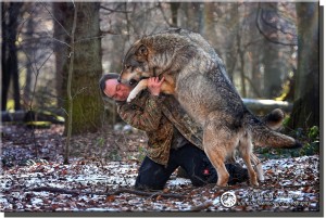 Öffnungszeiten - Foto Wolfspark Werner Freund by Michael Schönberger